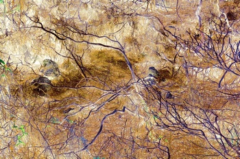 N 083B